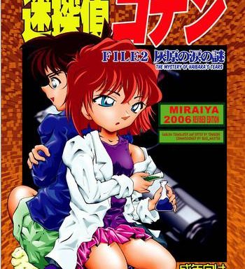 bumbling detective conanfile02 the mystery of haibara x27 s tears cover