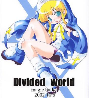 divided world cover