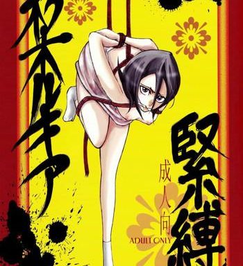 kuchiki rukia kinbaku cover