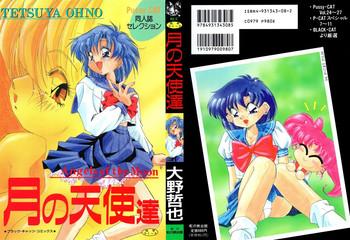 oono tetsuya tsuki no tenshi tachi angels of the moon bishoujo senshi sailor moon cover