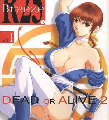 r25 vol 1 dead or alive 2 cover