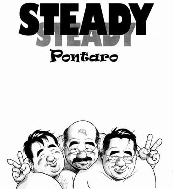steady cover