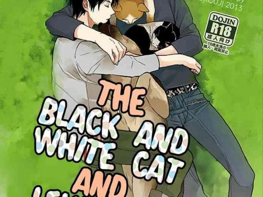 the black and white cat and levi san cover