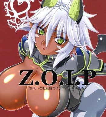 z o i p cover