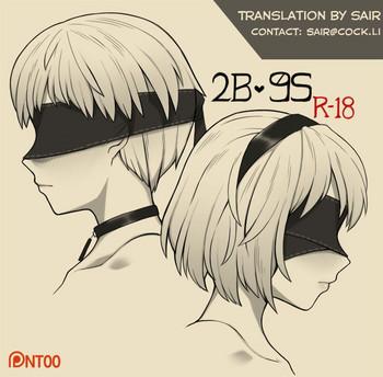2b 9s cover 1