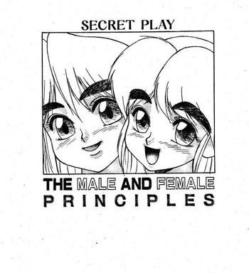 secret play the male and female principles cover