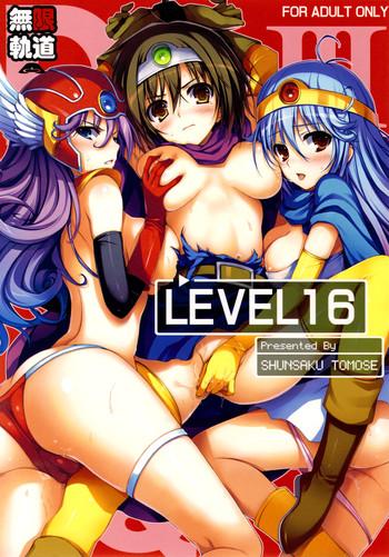 level 16 cover