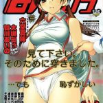 manga bangaichi 2006 12 vol 201 cover