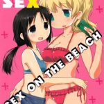 sexsex cover