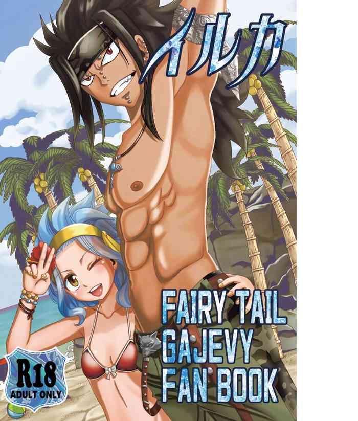 fairy tail galevy fanbook cover