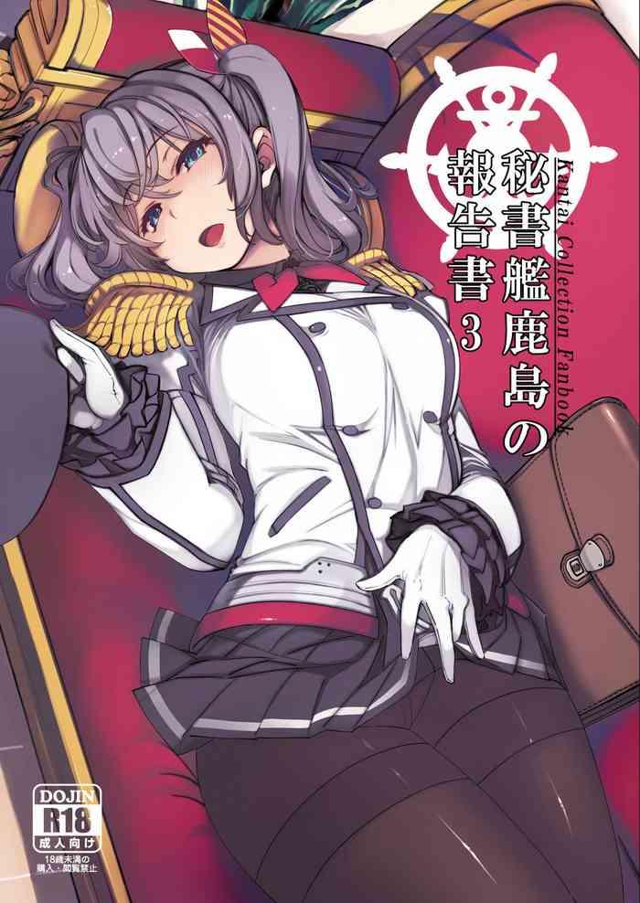 hishokan kashima no houkokusho 3 report of the secretary kashima 3 cover