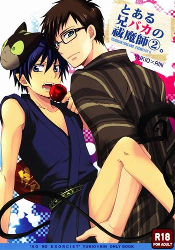 to aru ani baka no exorcist 2 cover