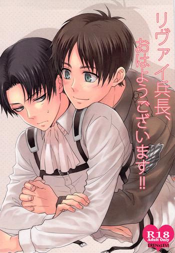 levi heichou ohayou gozaimasu cover