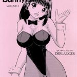 funny bunny volume 2 cover