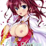 p e a overflow cover