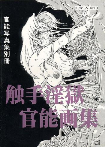 shokushu ingoku kannou gashuu cover