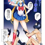 nabutte sailor senshi sama cover